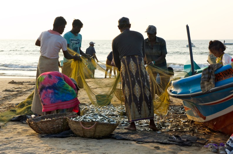 vissers van Negombo