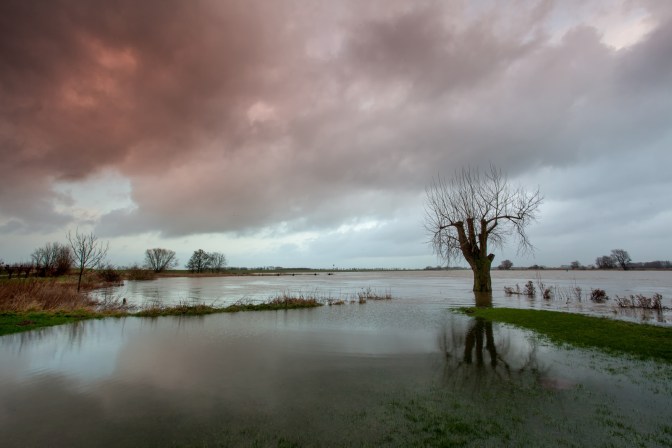 _MG_6429-bewerkt-bewerkt