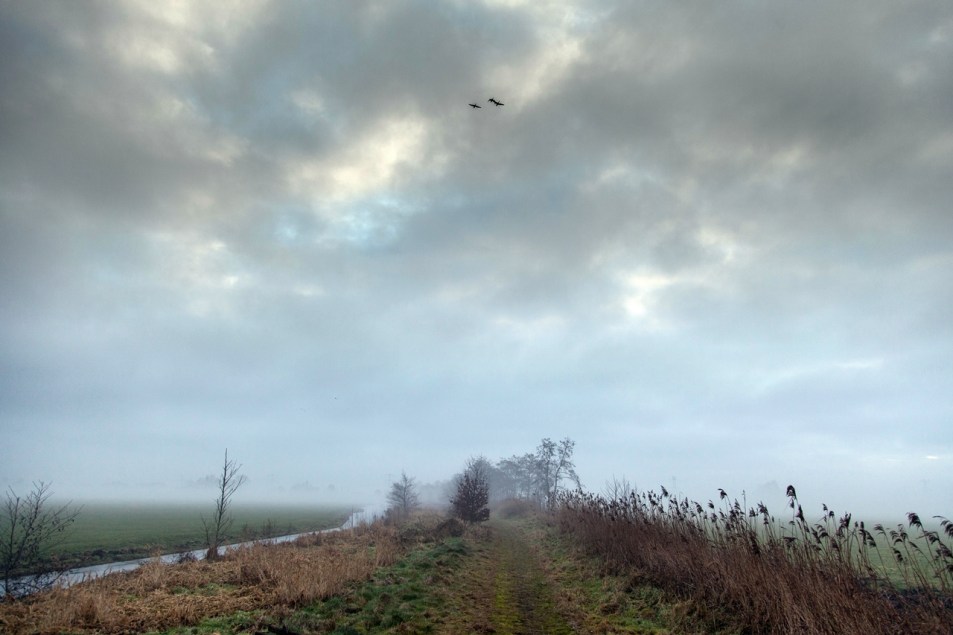 De Ronde Venen 16-02-13