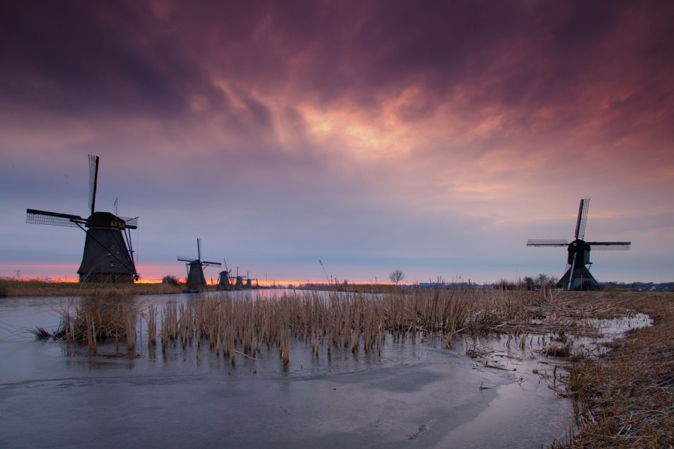 _MG_3250-bewerkt-bewerkt