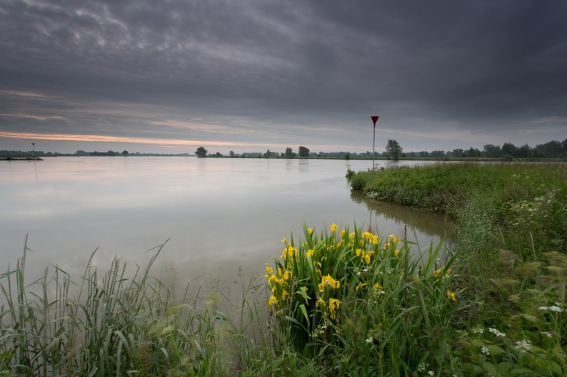 120613-lek-clmbrg-02