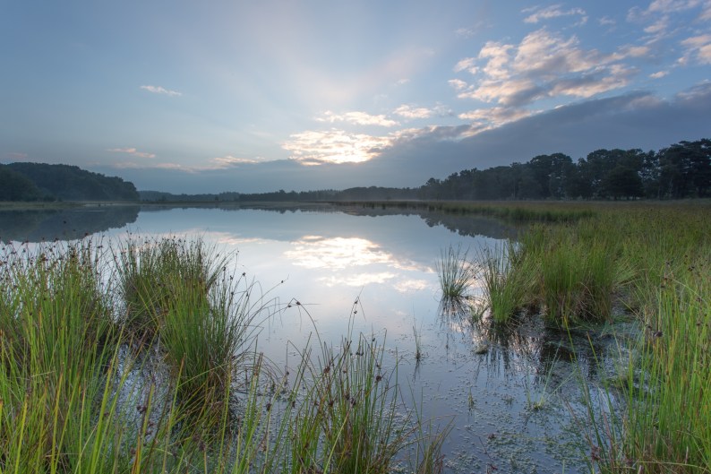 20130817-leersumseveld-landschap-8