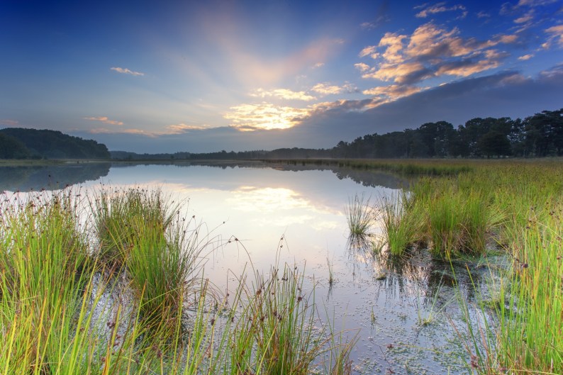 20130817-leersumseveld-landschap-9