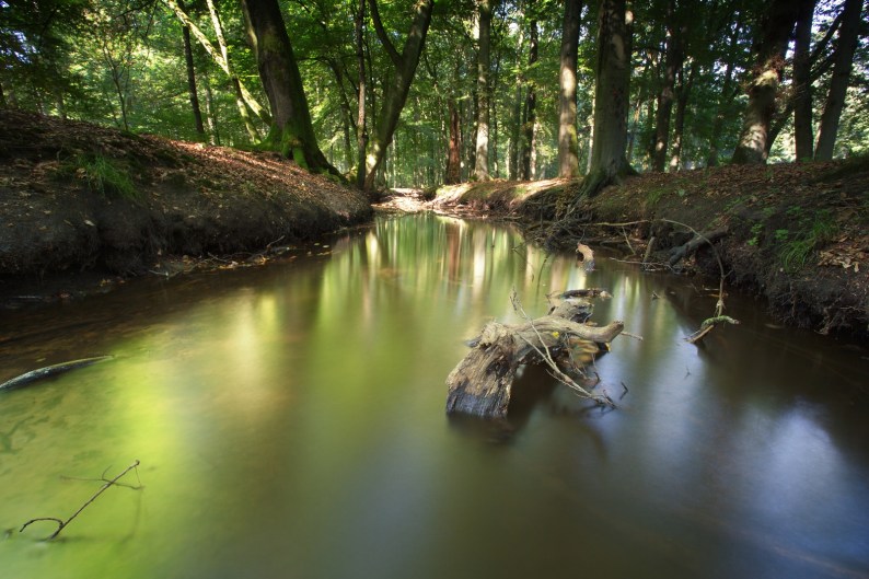 20130906-hulshorsterzand-31