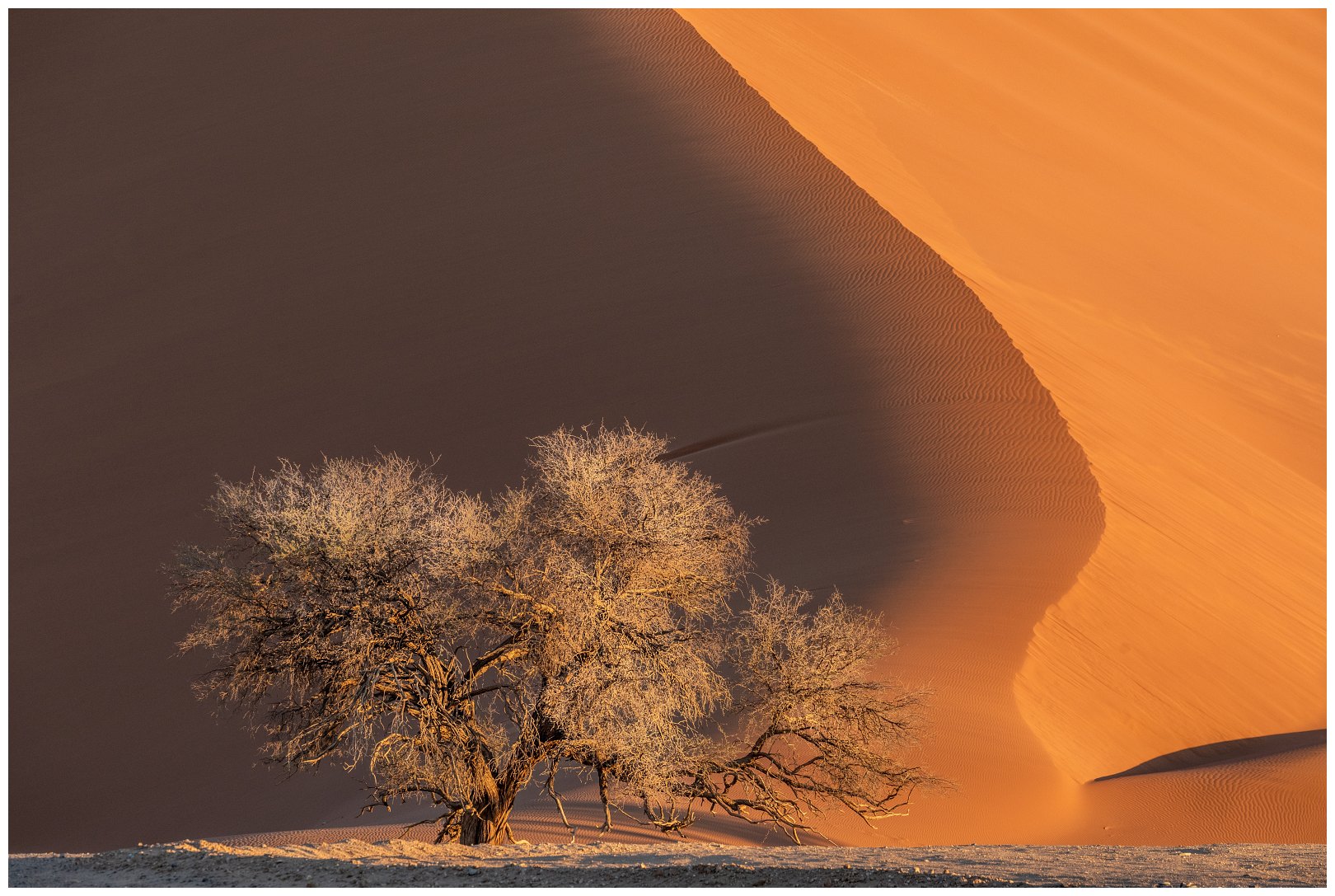 portfolio-reizen-namib-cover