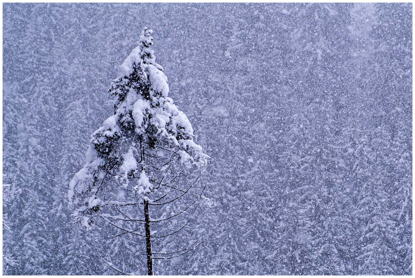 Hoge venen februari 2020