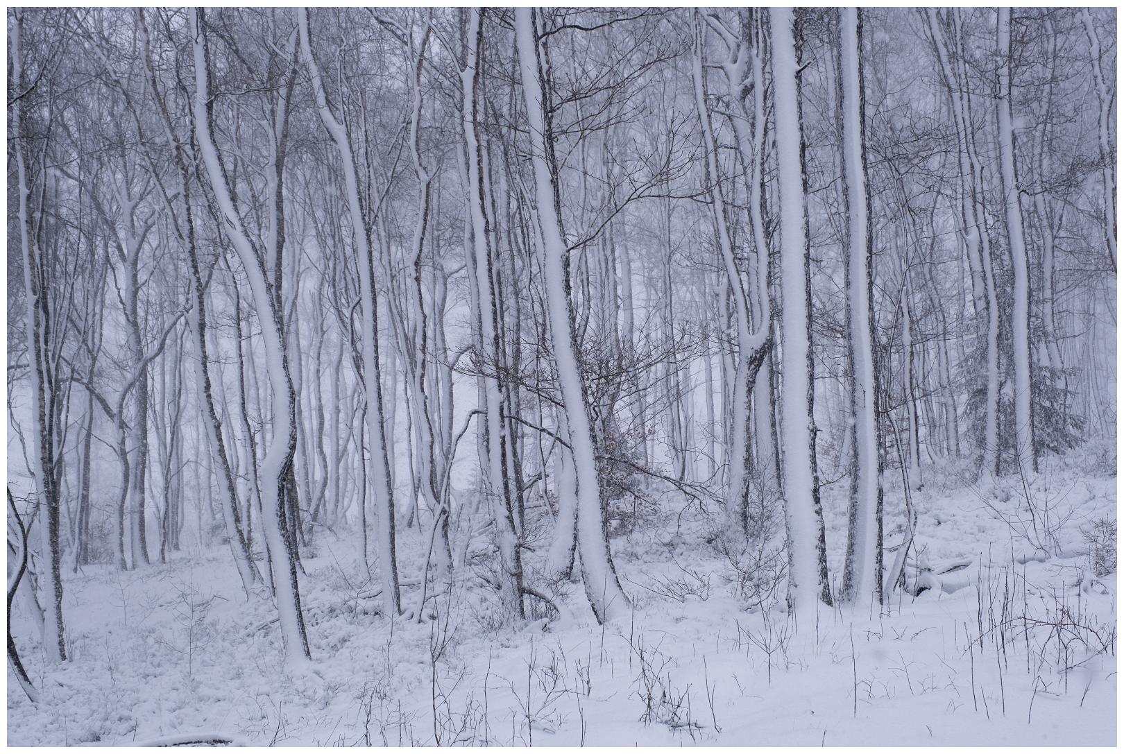 Hoge venen februari 2020