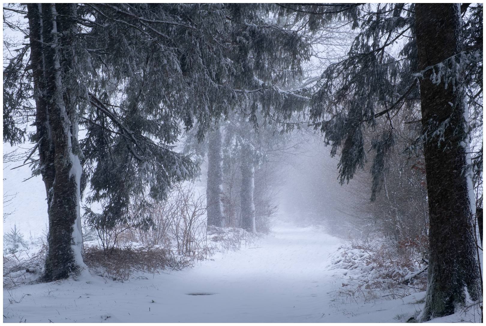 Hoge venen februari 2020