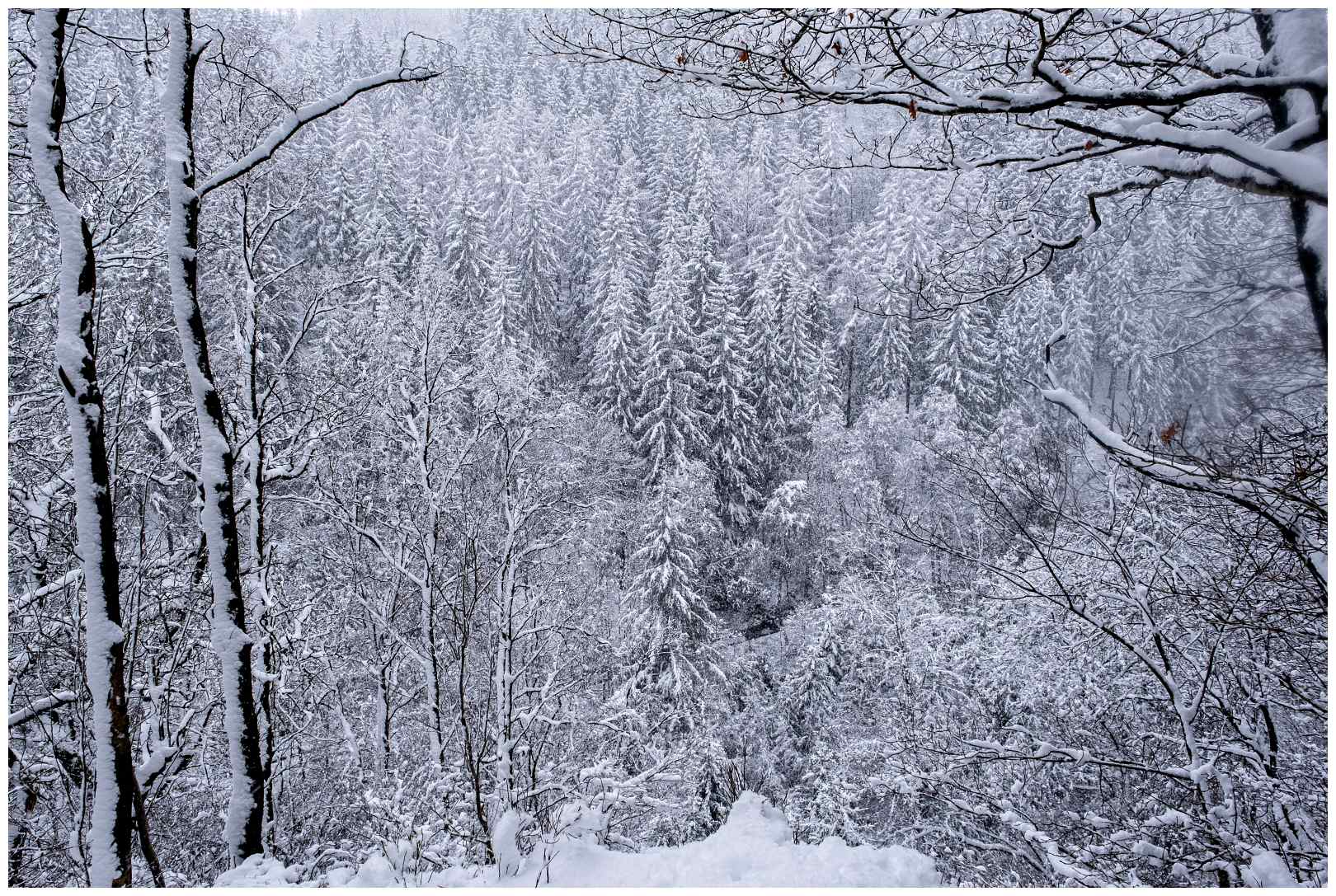 Hoge venen februari 2020