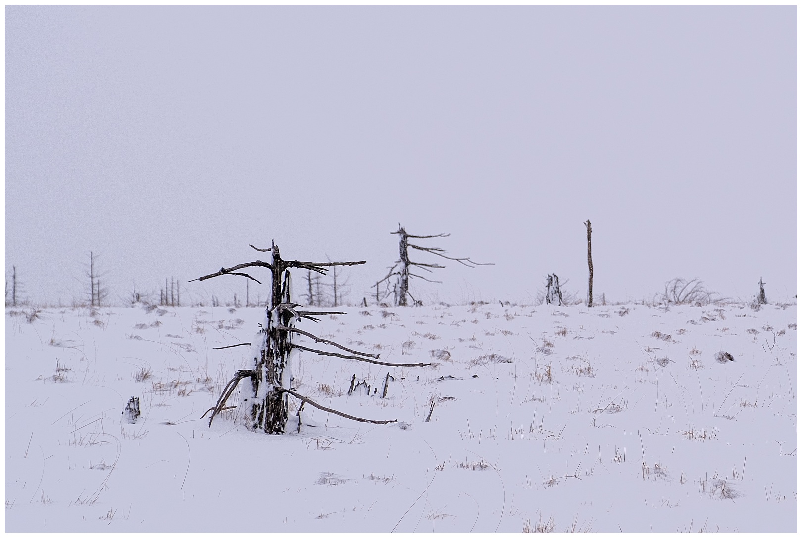 Hoge venen februari 2020