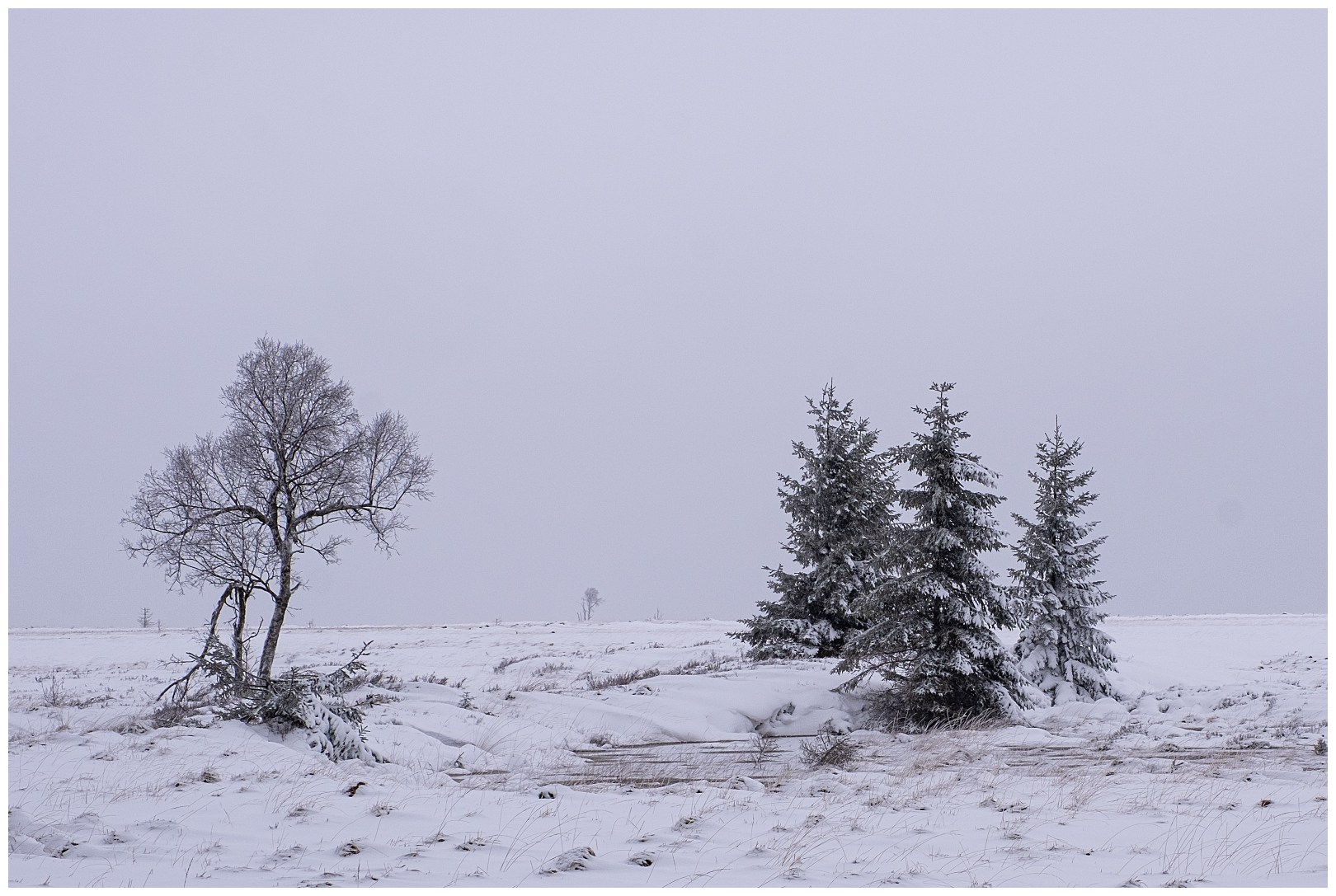 Hoge venen februari 2020