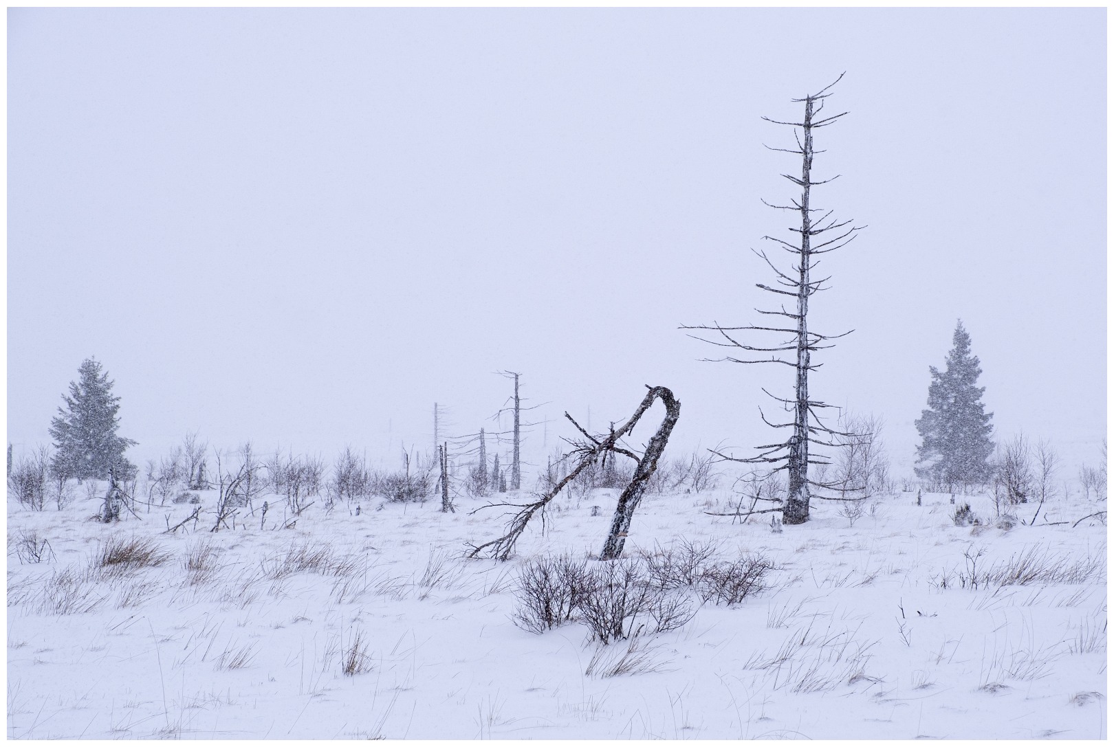 Hoge venen februari 2020