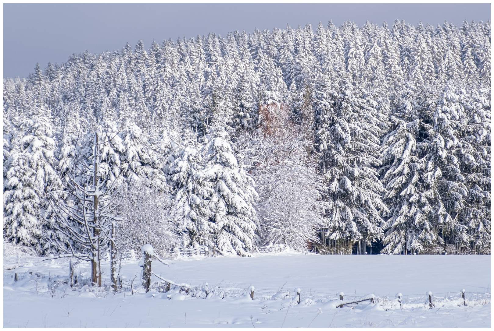 Hoge venen februari 2020