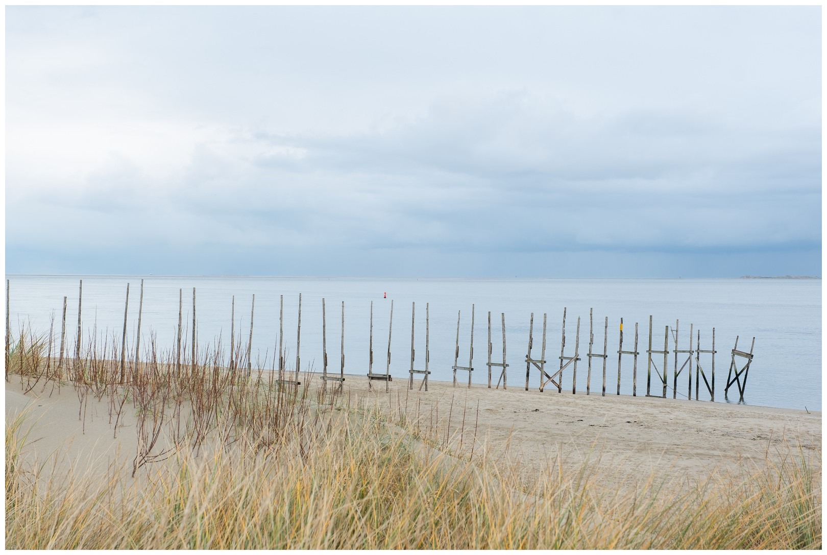 Texel recent december '20