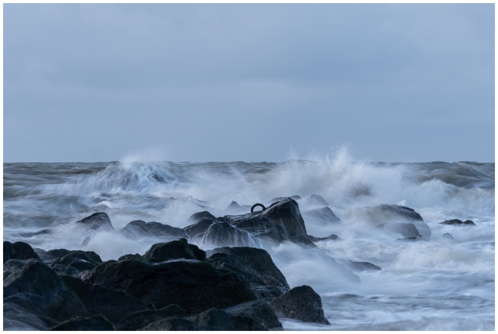 Texel recent december '20