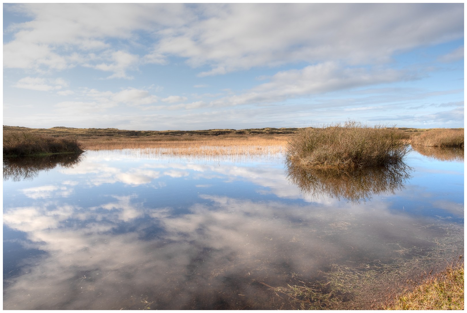 Texel recent december '20