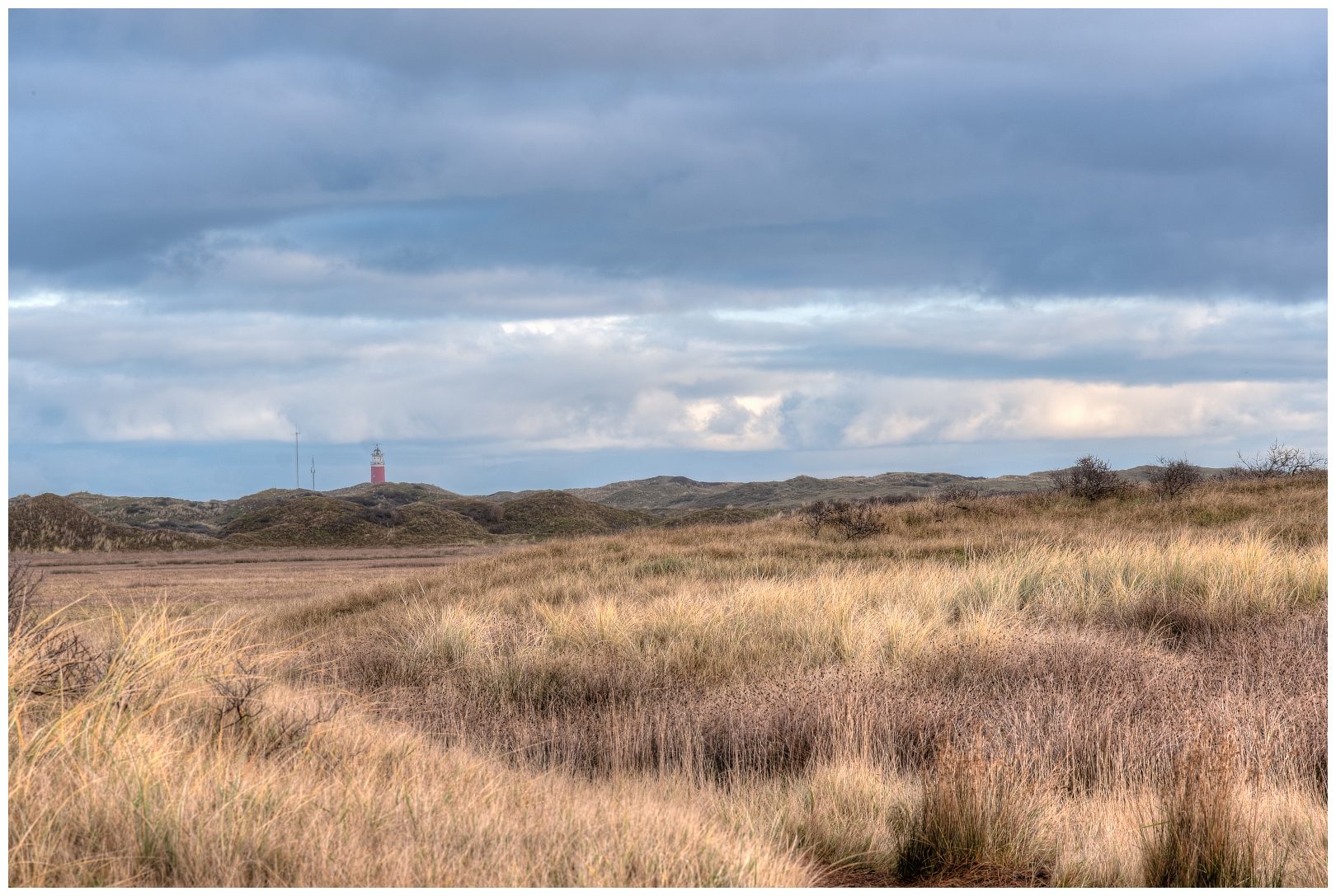 Texel recent december '20