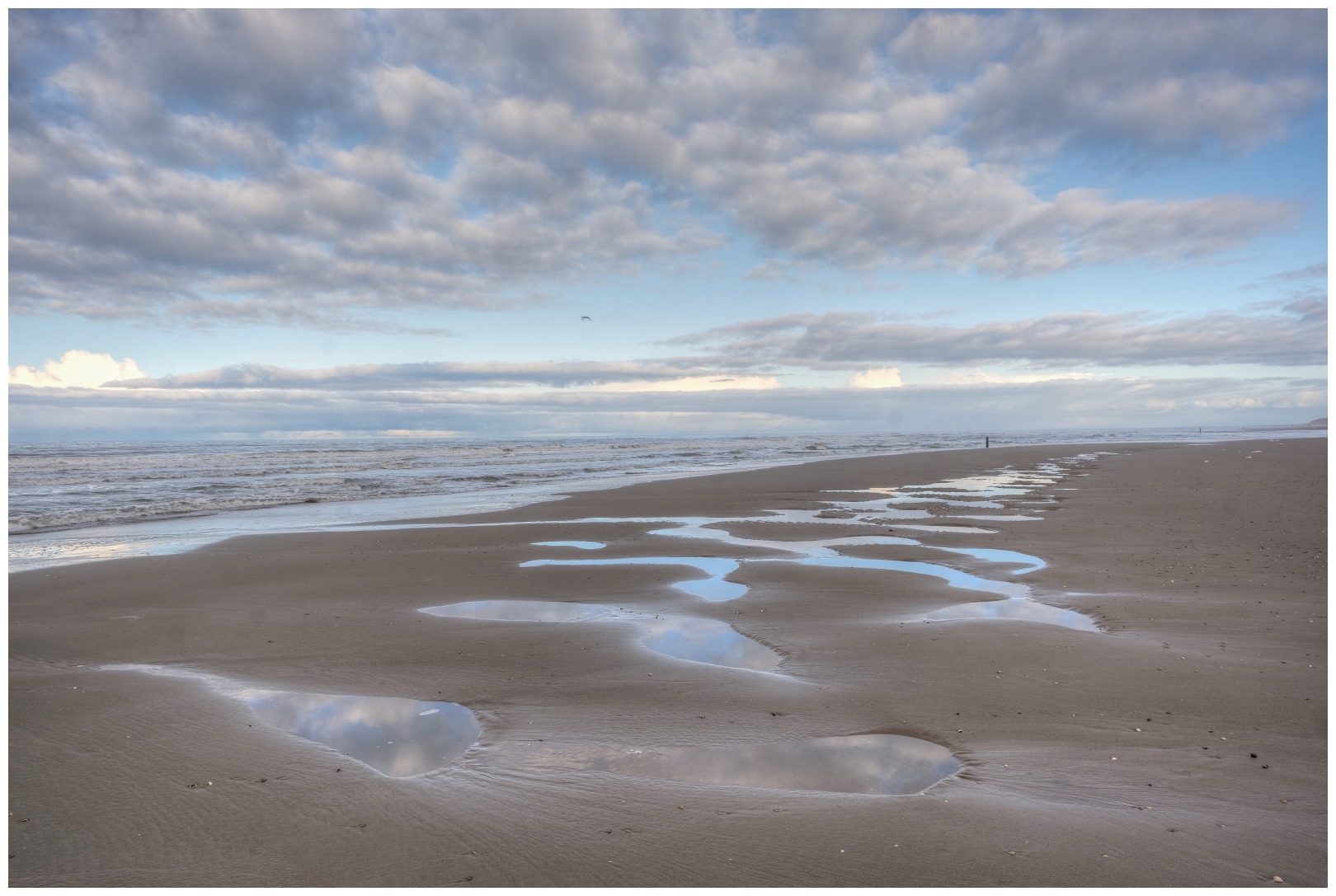 Texel recent december '20