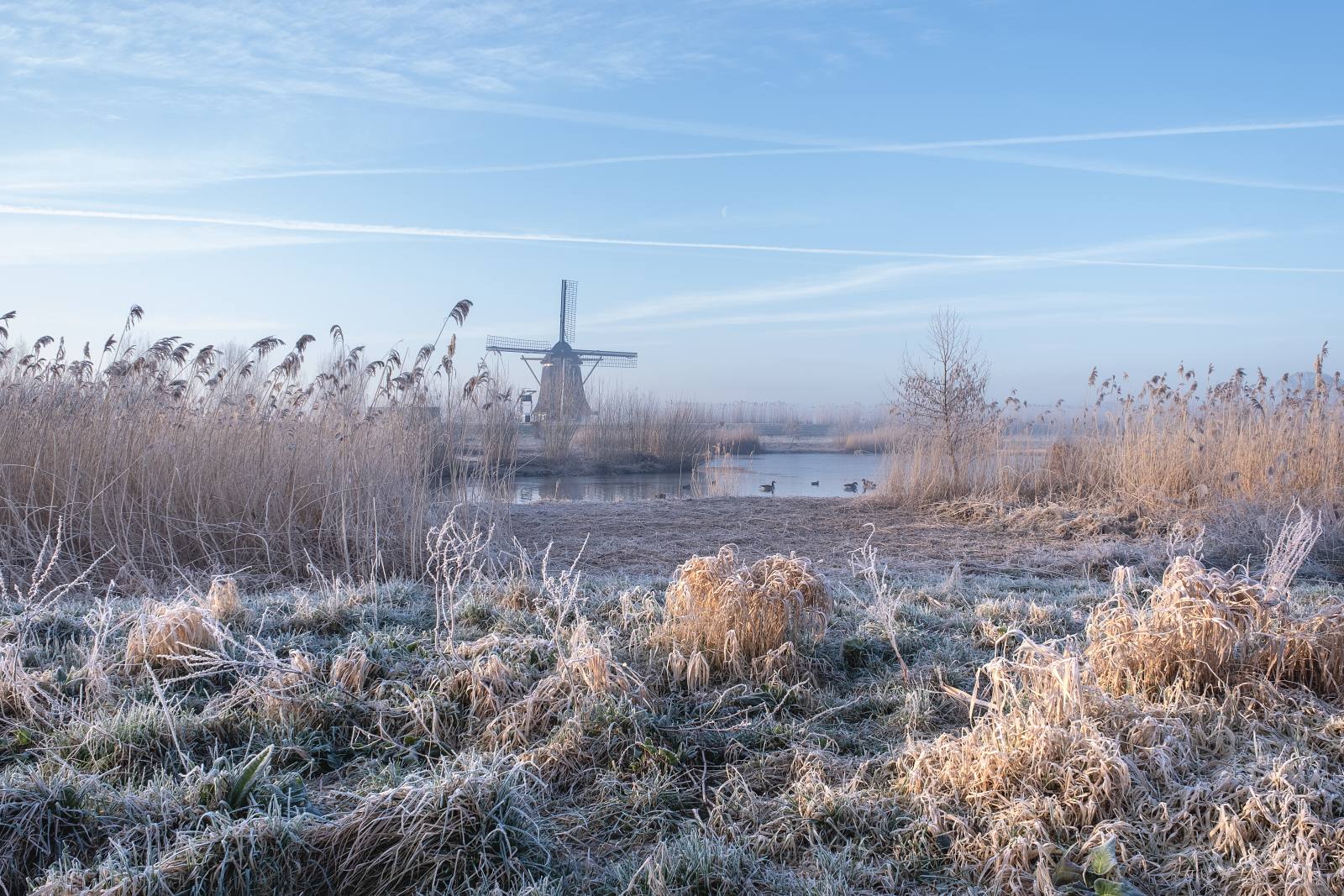 hoog-en-groenland-blog-portfolio