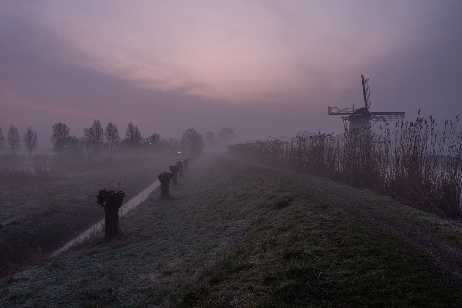 hoog-en-groenland-blog-portfolio