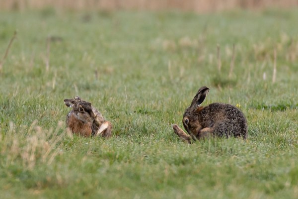 2021-04-02-arkemheen-blog