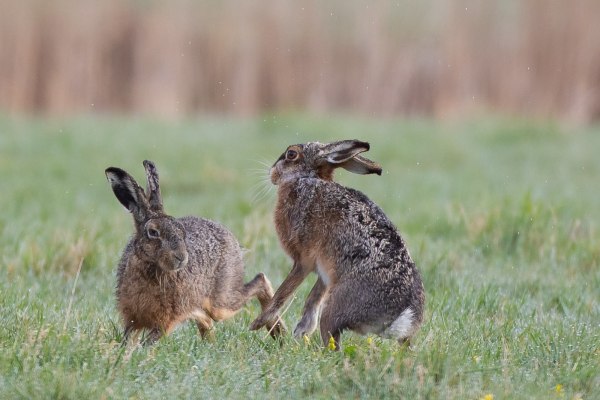 2021-04-02-arkemheen-blog