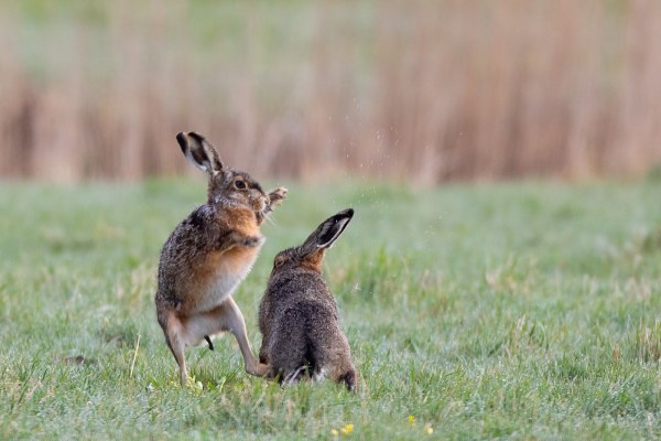 2021-04-02-arkemheen-blog