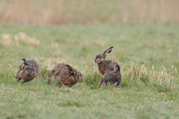 2021-04-02-arkemheen-blog