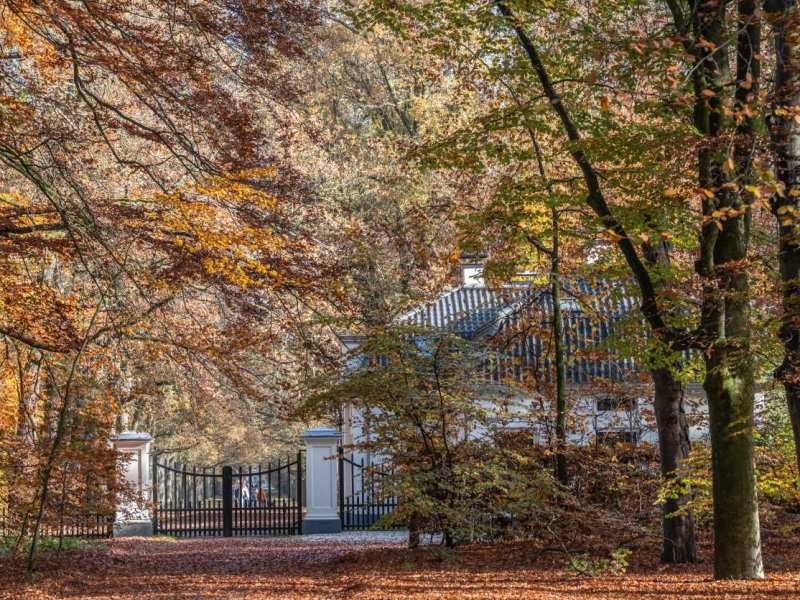 Paleispark Het Loo – herfst 2025 – deel&nbsp;2