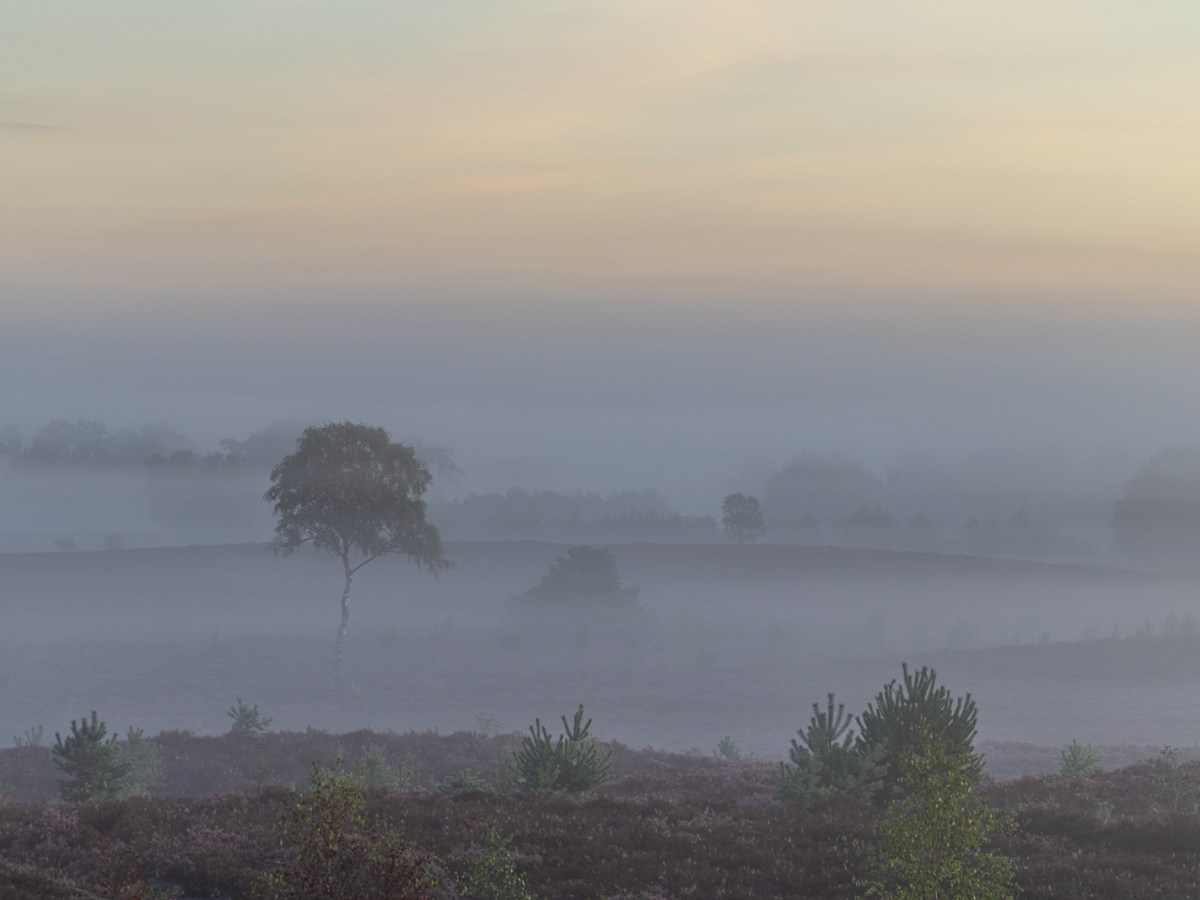 mist